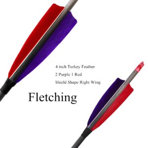 ZHANYI Target Hunting 6 Pack Archery Carbon Arrows 30 Inch 600 Spine with Real Feather Fletching for Compound Recurve Bows