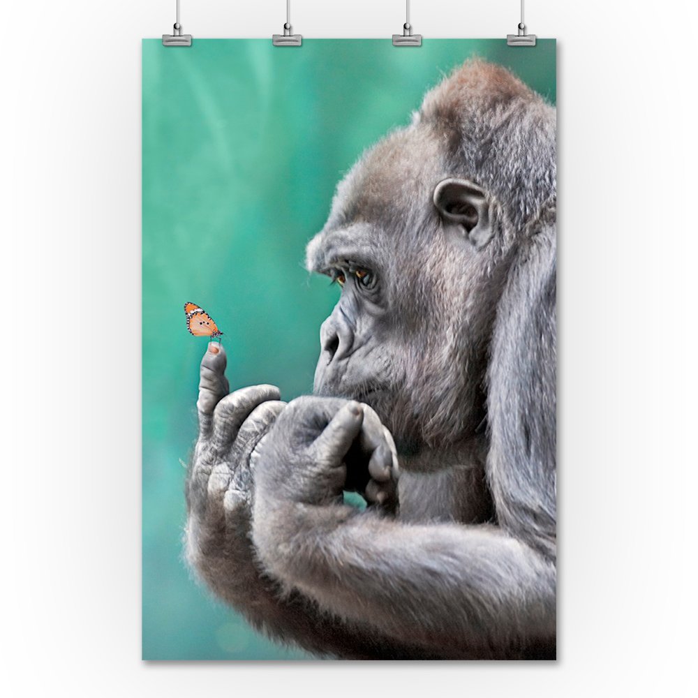 Gorilla Inspecting Butterfly on Finger (36x54 Giclee Gallery Art Print, Vivid Textured Wall Decor)