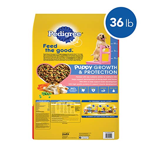 PEDIGREE Puppy Growth & Protection Dry Dog Food Chicken & Vegetable Flavor, 36 lb. Bag