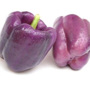 Heirloom Purple Beauty Sweet Bell Pepper Seeds - Capsicum annuum - 35 Seeds 1/4 Gram - B28