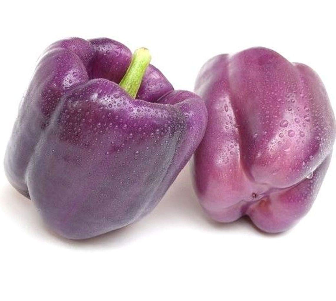 Heirloom Purple Beauty Sweet Bell Pepper Seeds - Capsicum annuum - 35 Seeds 1/4 Gram - B28