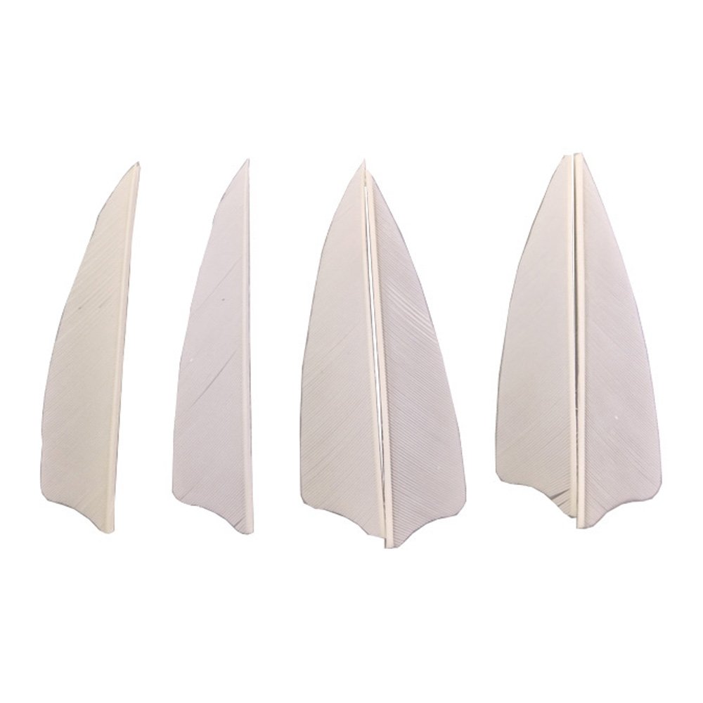 50 Pcs Turkey Feather Fletching 3 Inch Right Wing Arrow Feathers Vanes(White)