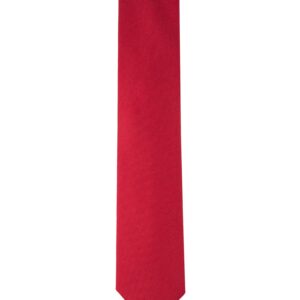 Calvin Klein Men's Silver Spun Solid Tie, Red, Regular