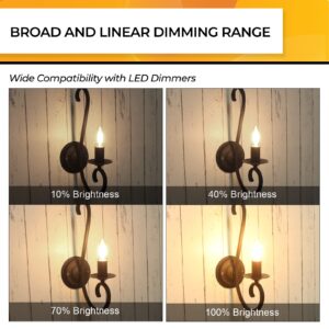 Hizashi Candelabra LED Light Bulbs 25 Watt, Dimmable Chandelier Light Bulbs, 90+ CRI, 200LM, Soft Warm White 2700K, E12 LED Bulb, B10 LED Candle Bulbs, UL Listed, 12 Pack