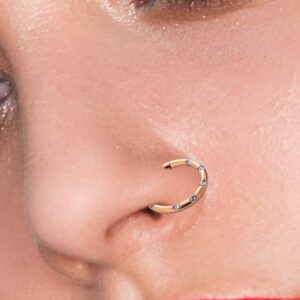 16 Gauge - 12MM Diameter Rose Gold Anodized Surgical Steel 5 Crystal Stones Paved Hinged Segment Nose Ring Septum Piercing