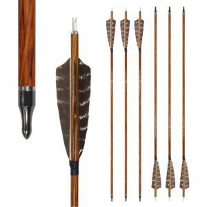 archery hunting carbon fiber arrows, ms carbon fiber arrow spine 400 with replacement screw-in 100 grain points and 4 inch real feather for compound bow recurve and long bow 6 pack (31inch)