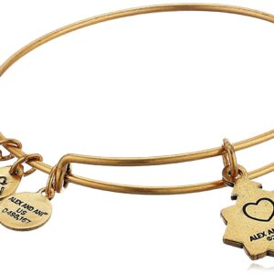 Alex and Ani Womens Because I Love You A18BILY14RG Friend Charm Bangle Bracelet, Rafaelian Gold, Expandable