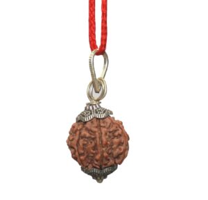 indianstore4all 6 mukhi nepal rudraksha penadnt 100% original six face rudraksha