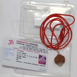 IndianStore4All 6 Mukhi Nepal Rudraksha Penadnt 100% Original Six Face Rudraksha