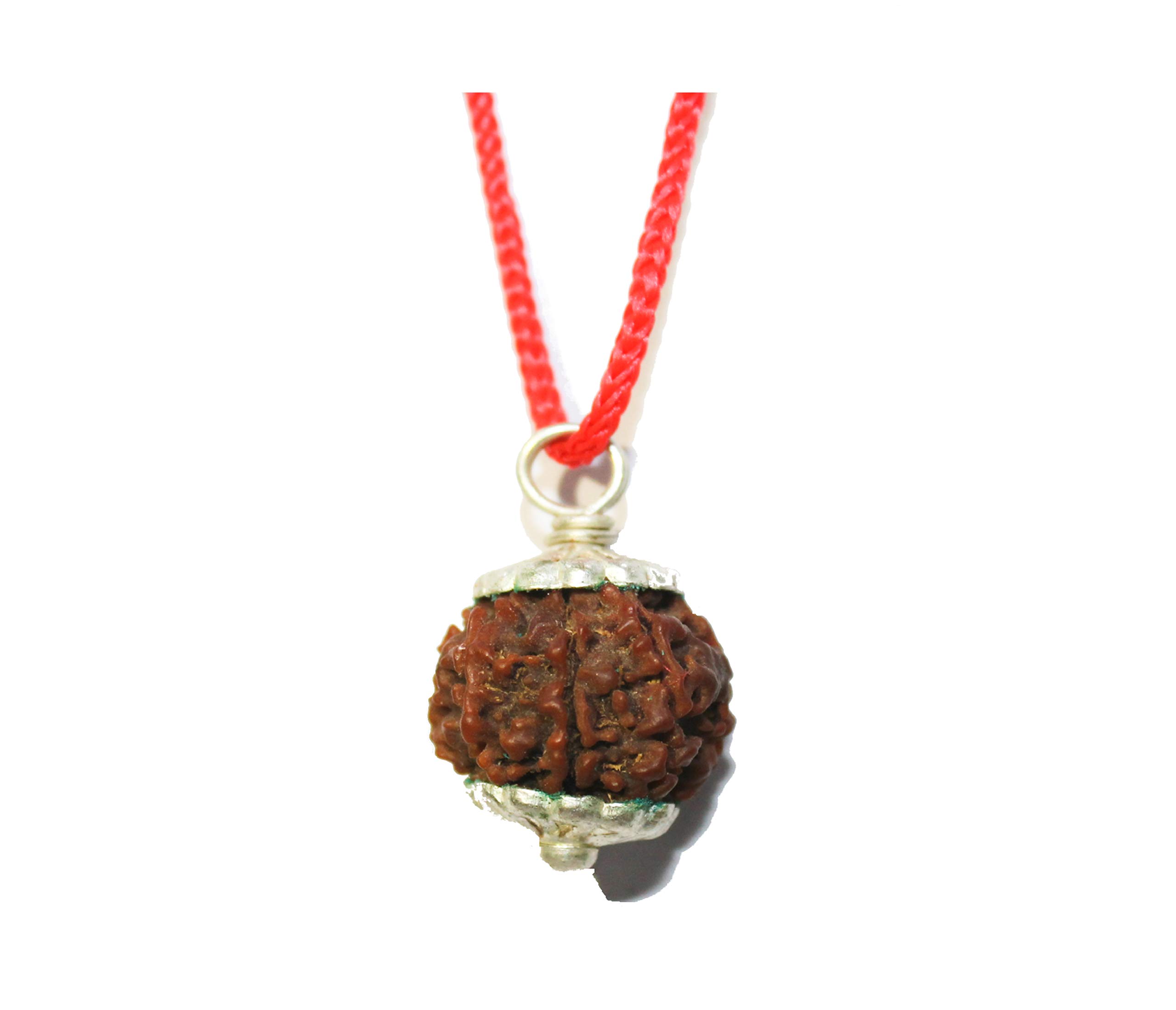 IndianStore4All 6 Mukhi Nepal Rudraksha Penadnt 100% Original Six Face Rudraksha