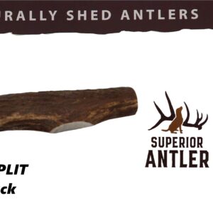 1- Large Split, Single Pack – All Natural Premium Grade A. Antler Chew. L=5-9” Naturally Shed, Hand-Picked, and Made in The USA. NO Odor, NO Mess. Guaranteed Satisfaction. for Dogs 30+ LBS