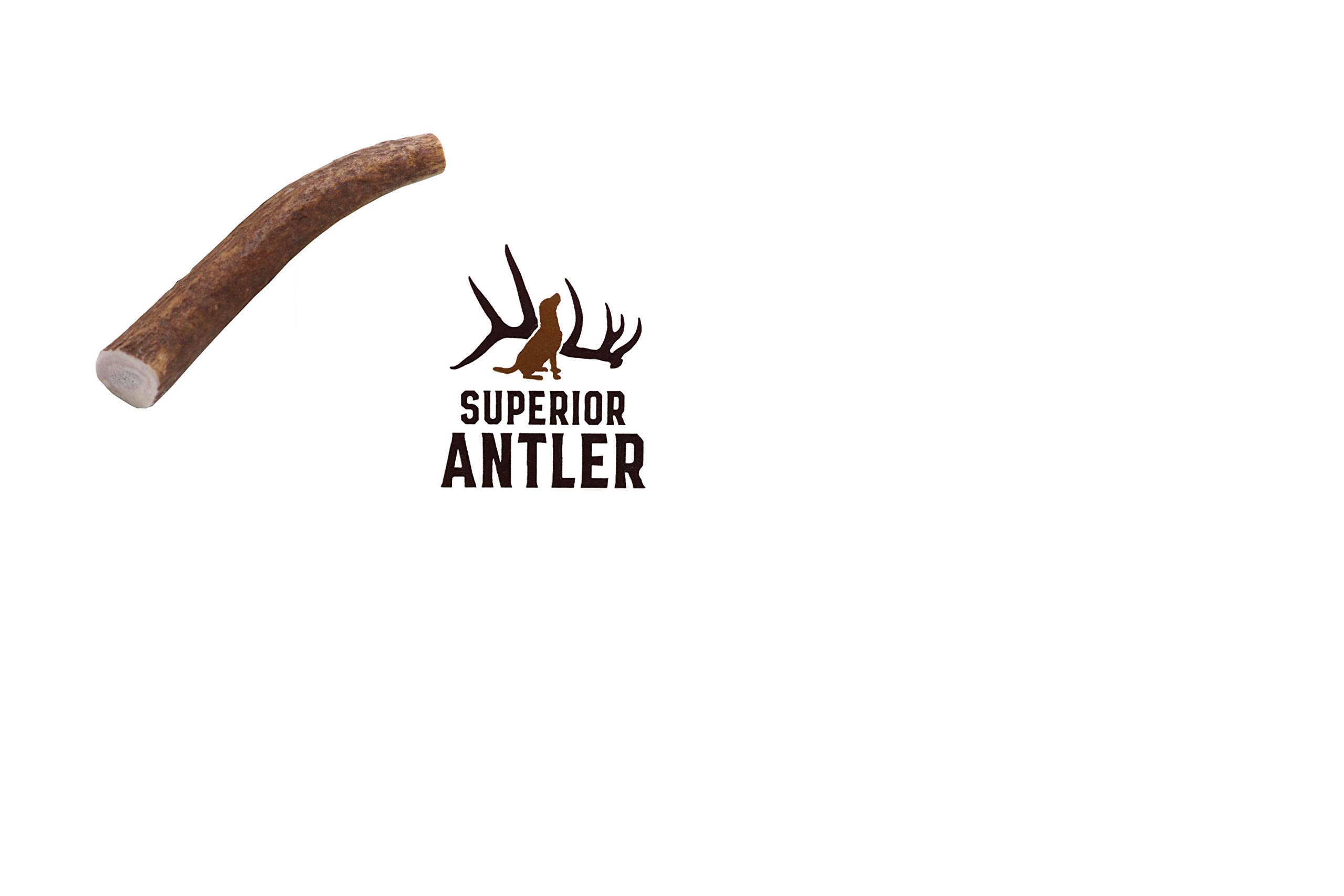 1-Small Whole Elk Antler–Single Pack. Premium Grade A. Antler Chew. L=4-7” Naturally shed, and Made in The USA. NO Odor. Guaranteed Satisfaction. for Dogs 10-25 LBS