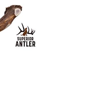 1-X Large Antler, Split, Single Pack - XL All Natural Premium Grade A. Antler Chew. Naturally Shed, Hand-Picked, and Made in The USA. NO Odor, NO Mess. Guaranteed Satisfaction. for Dogs 45+LBSL