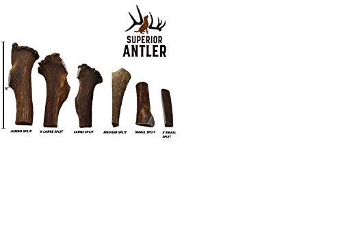 1-X Large Antler, Split, Single Pack - XL All Natural Premium Grade A. Antler Chew. Naturally Shed, Hand-Picked, and Made in The USA. NO Odor, NO Mess. Guaranteed Satisfaction. for Dogs 45+LBSL