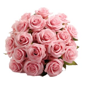 pink roses- fresh flowers- 50 stems (om)