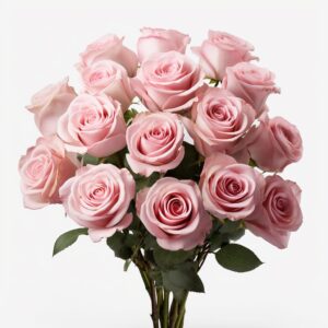 Pink Roses- Fresh Flowers- 50 Stems (OM)