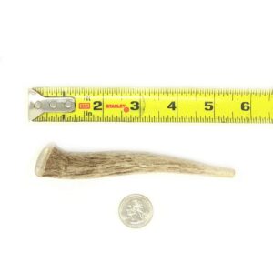 Natural Dakota Premium Deer Antler Dog Chew Toys (Small) Half-Pint