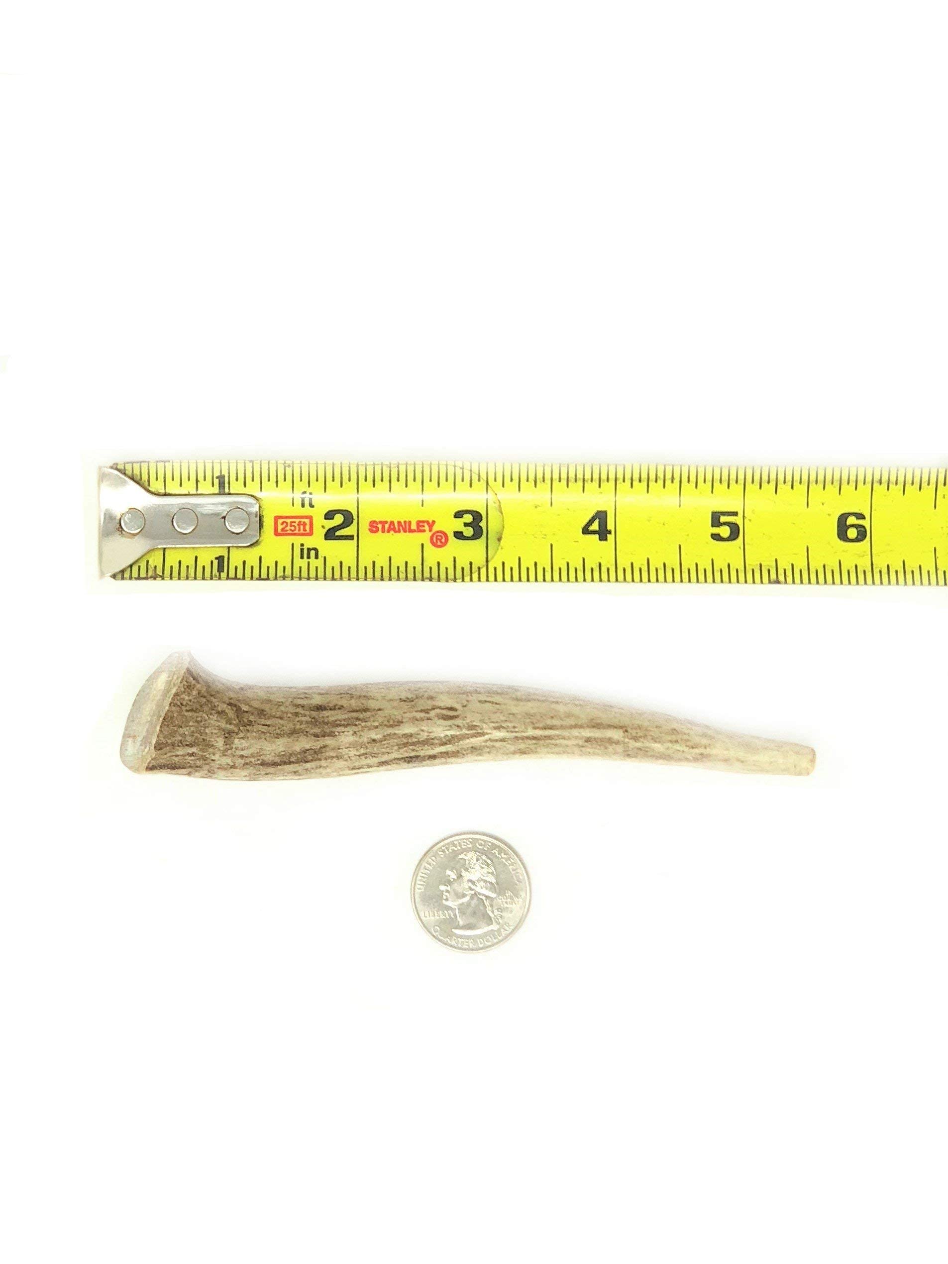 Natural Dakota Premium Deer Antler Dog Chew Toys (Small) Half-Pint