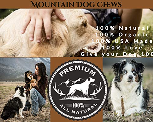 Mountain Dog Chews - Large Split Elk Antler - Elk Antler Dog Chew - Grade A Premium - Organic - Made in USA - No Mess