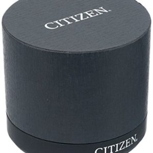 Citizen Quartz Mens Watch, Stainless Steel, Classic, Two-Tone (Model: BF5004-93A)