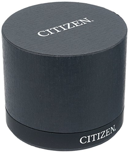 Citizen Quartz Mens Watch, Stainless Steel, Classic, Two-Tone (Model: BF5004-93A)