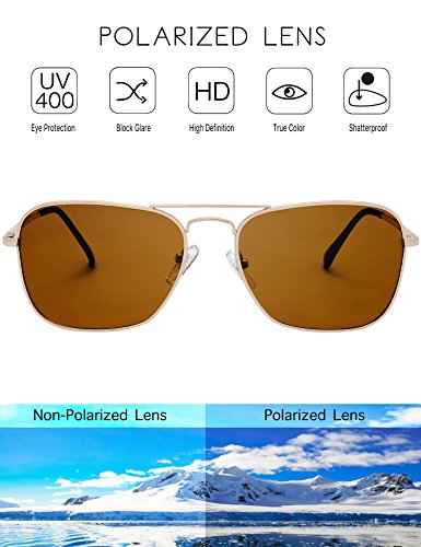 The Fresh Sunglasses for Men, Polarized, Rectangular Metal Frame, Ultra Lightweight, UV400 Protection (1-Gold, Brown)