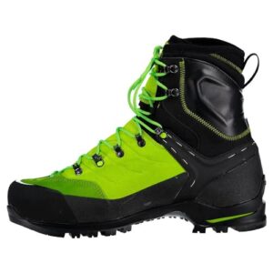 Salewa Vultur Evo GTX Black/Cactus 9 M