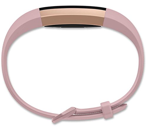 Fitbit Alta HR and Alta Classic Accessory Band (Pink, Large)