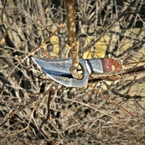 Titan International Knives New Damascus Small Skinner Fixed Blade Knife with wooden Handle Perfect EDC Hunting knife | outdoors and camping gear | 3 inch blade with Leather Sheath