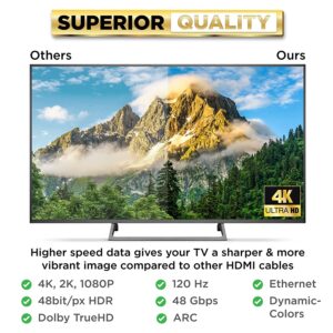 PowerBear 4K HDMI Cable 10 ft [2 Pack] High Speed, Braided Nylon & Gold Connectors, 4K @ 60Hz, Ultra HD, 2K, 1080P, ARC & CL3 Rated | for Laptop, Monitor, PS5, PS4, Xbox One, Fire TV, Apple TV & More