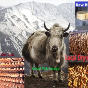 Snow Hill Himalayan Yak Cheese Dog Chews Monster/XXL 2 lbs Long Lasting, Protein-Rich Golden Cheese Bone Treats - Himalayas, Nepal