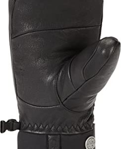 Dakine Tundra Gore-Tex Mitt - Black, Medium