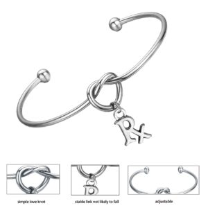 FEELMEM Rx Pharmacist Pharmacy Bracelet Love Knot Bangle with RX Symbol Charm Bracelet Graduation Gift(RX charm-Silver)