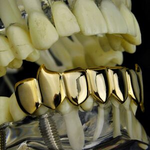 Fang Grillz 14k Gold Plated 8 Bottom Teeth Fangs Eight Piece Slugs Hip Hop Vampire Mouth Grills