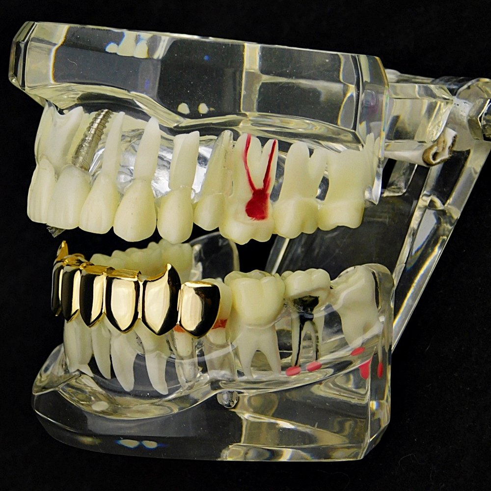 Fang Grillz 14k Gold Plated 8 Bottom Teeth Fangs Eight Piece Slugs Hip Hop Vampire Mouth Grills