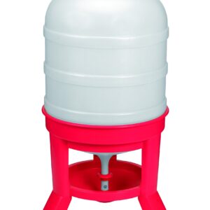 Little Giant® Plastic Dome Waterer | Heavy Duty Plastic Gravity Fed Poultry Waterer Container Tank | Chickens, Ducks & Other Birds for Hobbyists, Farmers and Ranchers | 10 Gallon