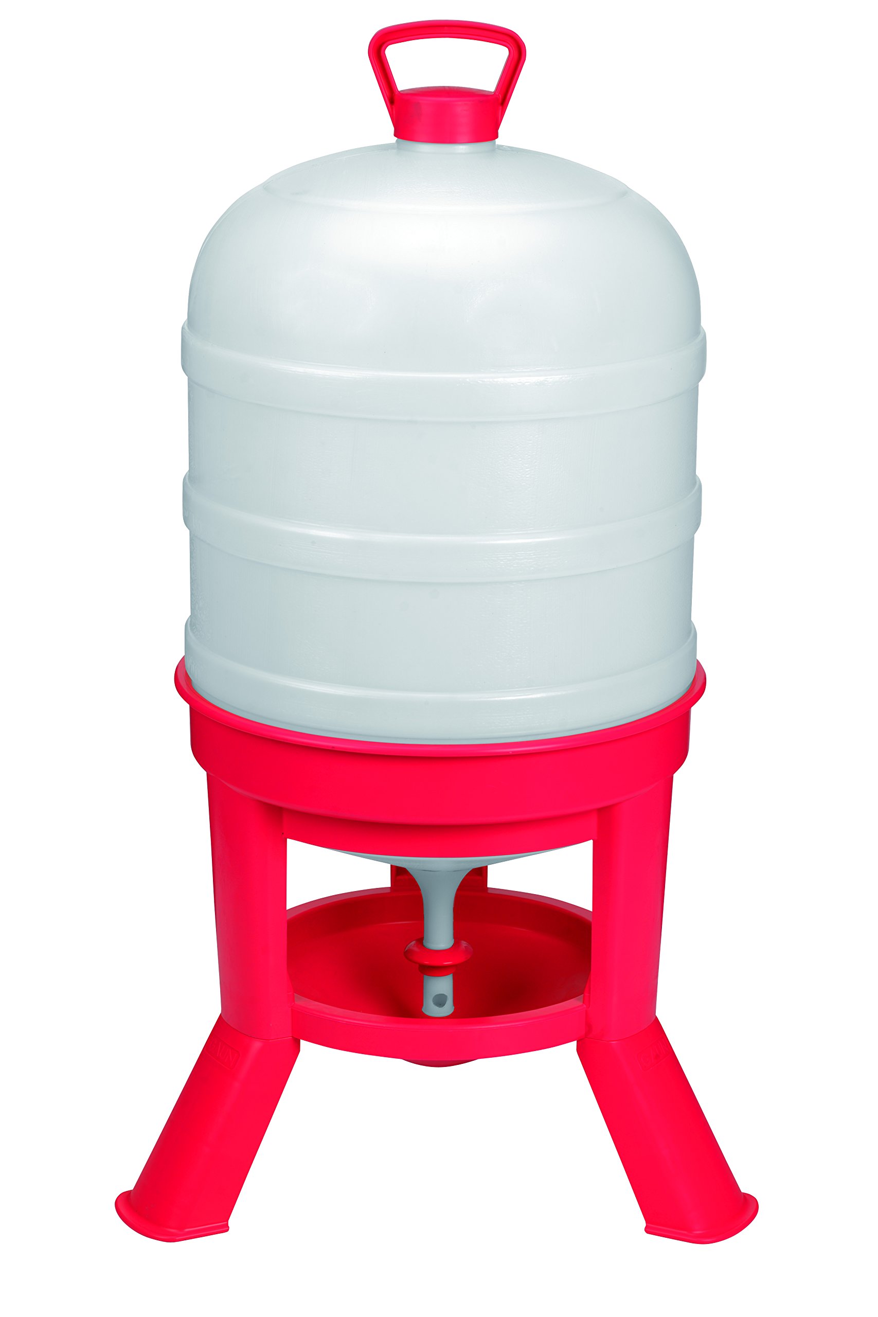 Little Giant® Plastic Dome Waterer | Heavy Duty Plastic Gravity Fed Poultry Waterer Container Tank | Chickens, Ducks & Other Birds for Hobbyists, Farmers and Ranchers | 10 Gallon