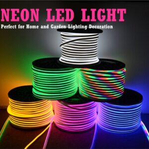 KERTME Neon Led Type AC 110-120V LED NEON Light Strip, Flexible/Waterproof/Dimmable/Multi-Colors/Multi-Modes LED Rope Light + 24 Keys Remote for Home/Garden/Building Decoration (98.4ft/30m, RGB)