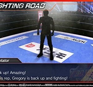 Fire Pro Wrestling World - PlayStation 4