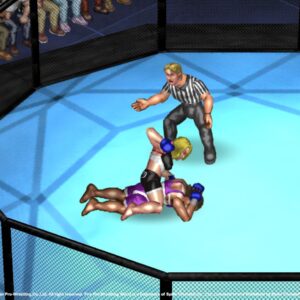 Fire Pro Wrestling World - PlayStation 4