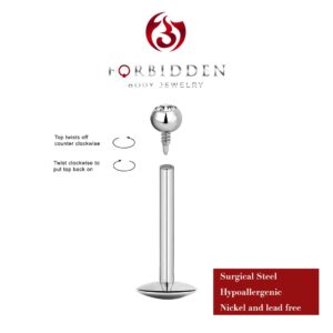 Forbidden Body Jewelry Surgical Steel Internally Threaded Micro CZ Gem Tragus/Labret/Helix Piercing Stud/ 2 Pack: 16G, 10mm with 2mm Top