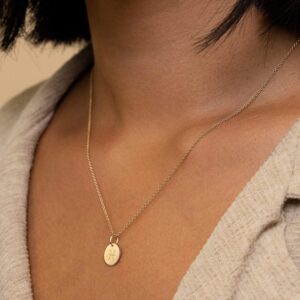 Befettly Constellation Necklace Pendant 14K Gold-Plated Hammered Round Disc Engraved Star Sign Pendant 17.5’’ Adjustable Dainty Necklace NK-Pisces