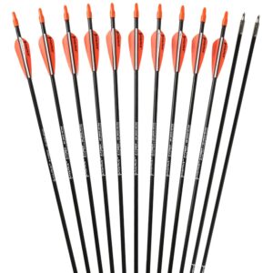 PANDARUS Archery 28" Fiberglass Archery Target Practice Arrows, for Children, woman or Beginner, for Recuve Bow(Pack of 12) …