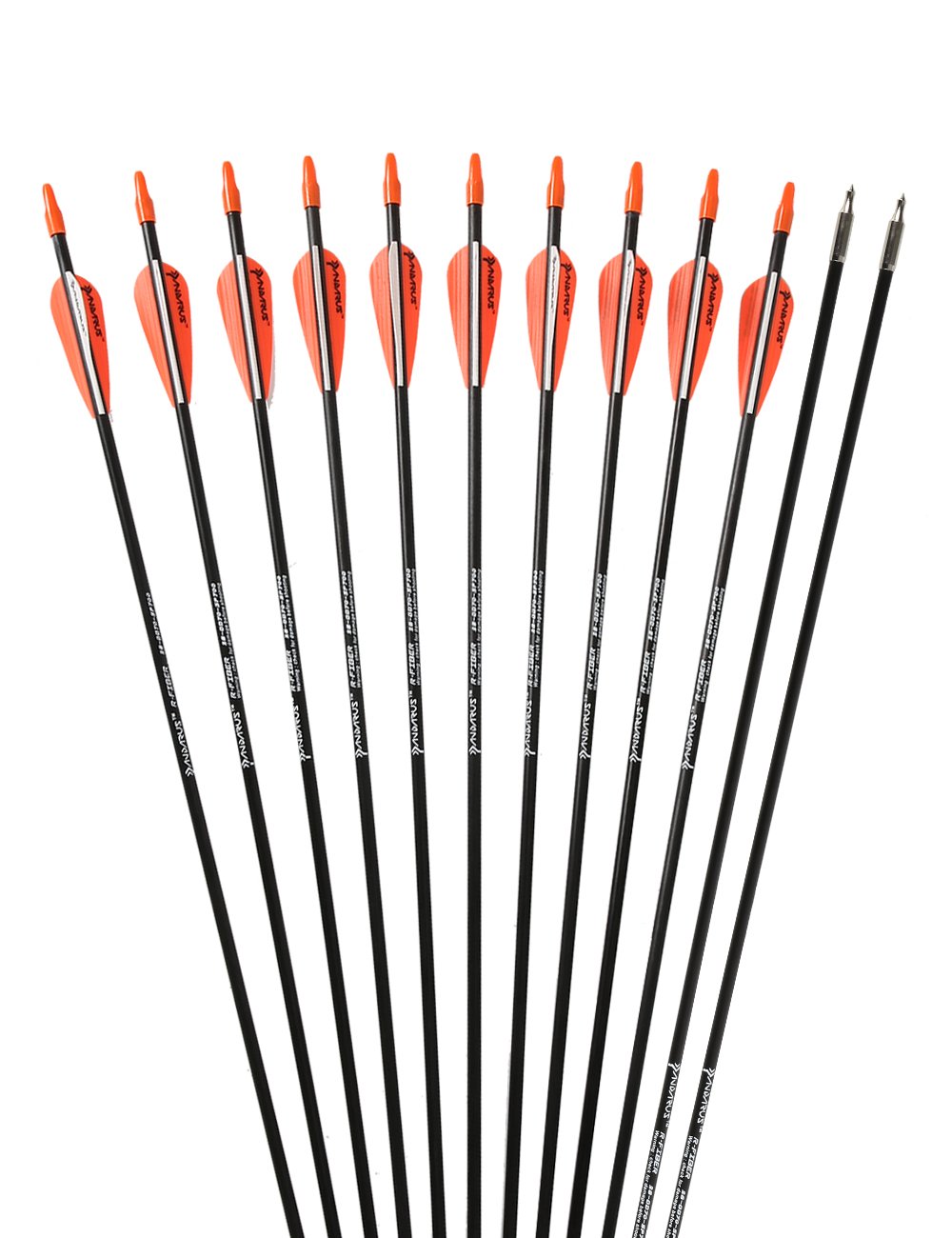 PANDARUS Archery 28" Fiberglass Archery Target Practice Arrows, for Children, woman or Beginner, for Recuve Bow(Pack of 12) …