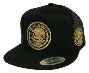 aguascalientes logo federal 2 logos 2’’ Águila a lado hat black mesh