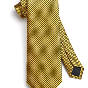 HISDERN Gold Ties for Men Yellow Gold Tie Pocket Square Set Classic Gold Mens Ties Silk Woven Necktie Handkerchief Formal Business Neckties Party