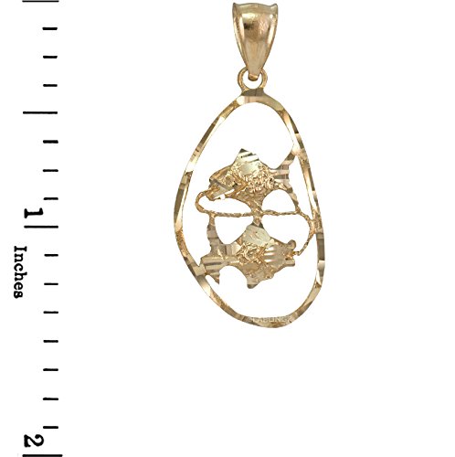 14K Yellow Gold Pisces Zodiac Sign DC Pendant (18.0)