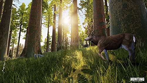 Hunting Simulator (Xbox One)