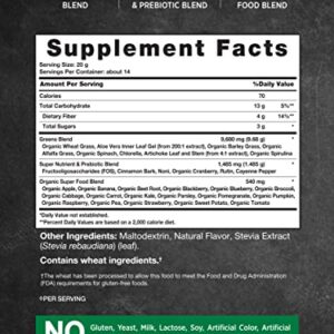 Nature's Truth Super Greens Powder Supplement | Fruit & Vegetables Superfood Blend | Vegan, Non-GMO & Gluten Free Juice & Smoothie Mix | 9.88 oz