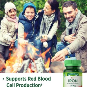 Easy Iron Supplement 28 mg | 90 Capsules | Iron Bisglycinate | Non-GMO, Gluten Free | by Nature's Truth